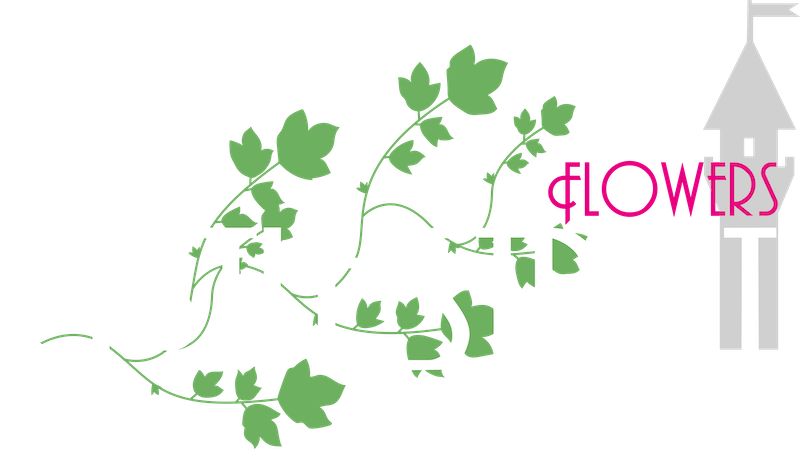 Christmas trees by Castle street flowers